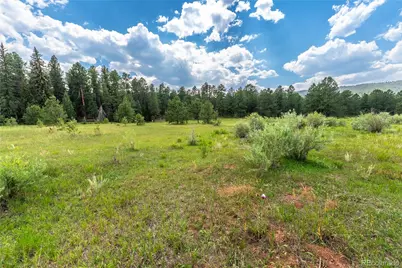Sh 67, Woodland Park, CO 80863 - Photo 5