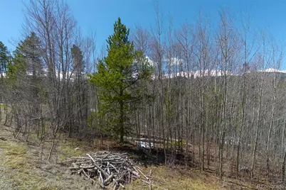 90 Shadows Drive, Breckenridge, CO 80424 - Photo 7