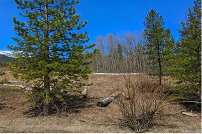 90 Shadows Drive, Breckenridge, CO 80424 - Photo 19