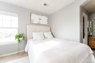 3887 Ute Mountain Trail, Castle Rock, CO 80109 - Photo 17