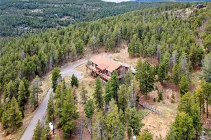 255 Divide View Dr, Golden, CO 80403 - Photo 43