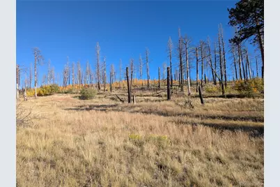 1207 Emery Loop, Fort Garland, CO 81133 - Photo 13