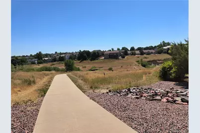 10145 Charissglen Lane, Highlands Ranch, CO 80126 - Photo 39
