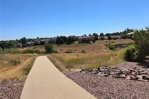 10145 Charissglen Ln, Highlands Ranch, CO 80126 - Photo 39