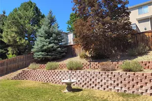 10145 Charissglen Ln, Highlands Ranch, CO 80126 - Photo 37