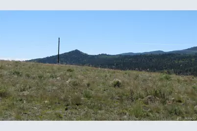 1198 Wagon Wheel Road, Hartsel, CO 80449 - Photo 9