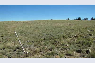 1198 Wagon Wheel Road, Hartsel, CO 80449 - Photo 15