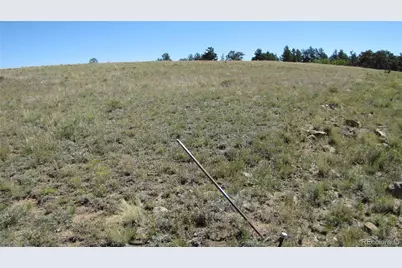 1198 Wagon Wheel Road, Hartsel, CO 80449 - Photo 21