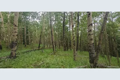 Lot 6882 Donna Road, Fort Garland, CO 81133 - Photo 3