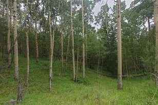 Lot 6882 Donna Rd, Fort Garland, CO 81133 - Photo 1