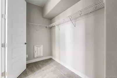 2543 Mayotte Way, Castle Rock, CO 80109 - Photo 29