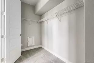 2543 Mayotte Wy, Castle Rock, CO 80109 - Photo 29