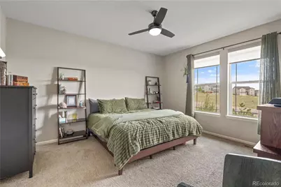 3977 Happy Hollow Drive, Castle Rock, CO 80104 - Photo 19
