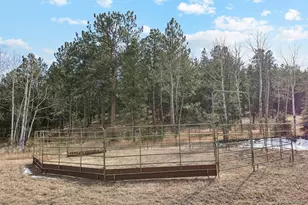 2230 Co Rd 72, Bailey, CO 80421 - Photo 41