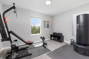 4232 Forever Cir, Castle Rock, CO 80109 - Photo 21