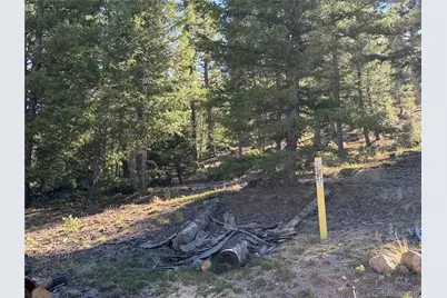 Parcel #4 Wallow Court, Conifer, CO 80433 - Photo 13