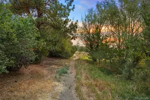 3254 S Espana Cir, Aurora, CO 80013 - Photo 37