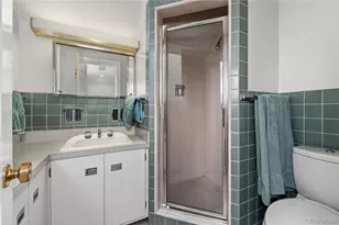 735 N Williams St, Denver, CO 80218 - Photo 41