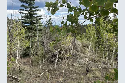 150 Ambush Lane, Jefferson, CO 80456 - Photo 19