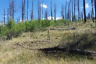 Lot 1064 Reed Ln, Fort Garland, CO 81133 - Photo 1