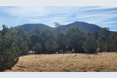 312 16th Trail, Cotopaxi, CO 81223 - Photo 19