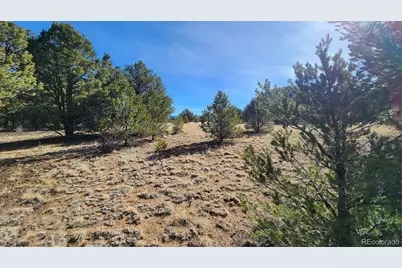 312 16th Trail, Cotopaxi, CO 81223 - Photo 5