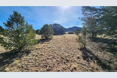 312 16th Trail, Cotopaxi, CO 81223 - Photo 11