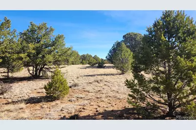 312 16th Trail, Cotopaxi, CO 81223 - Photo 3