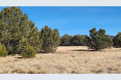 312 16th Trail, Cotopaxi, CO 81223 - Photo 9