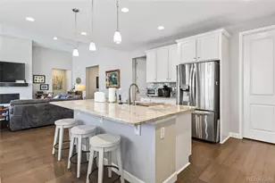 6650 Mentha Dr, Castle Rock, CO 80108 - Photo 9