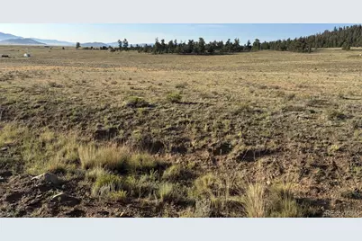 100 Park Road, Hartsel, CO 80449 - Photo 5