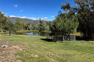 548 Shamrock Ln, Howard, CO 81233 - Photo 25