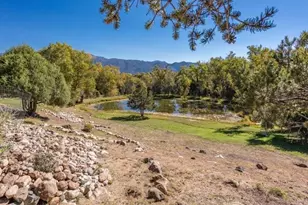 548 Shamrock Ln, Howard, CO 81233 - Photo 15