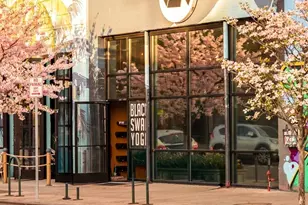 1304 N Emerson St, Denver, CO 80218 - Photo 39