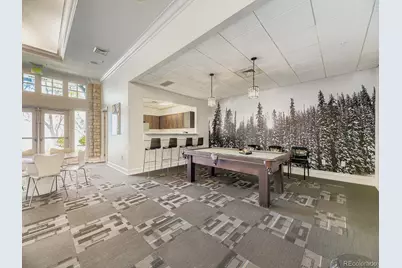 1301 Speer Boulevard #704, Denver, CO 80204 - Photo 23