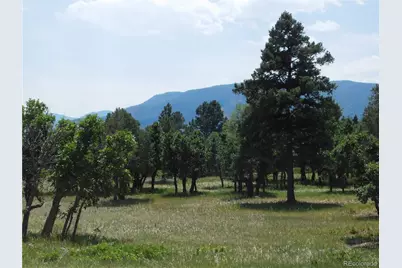5980 Country Club Drive, Larkspur, CO 80118 - Photo 47