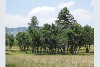 5980 Country Club Drive, Larkspur, CO 80118 - Photo 25