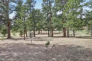 29210 Northstar Ln, Evergreen, CO 80439 - Photo 45