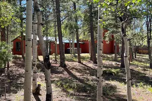 30 Debra Ann Rd, Golden, CO 80403 - Photo 7