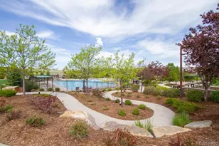 14317 Double Dutch Loop, Parker, CO 80134 - Photo 41