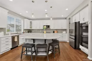 14317 Double Dutch Loop, Parker, CO 80134 - Photo 7