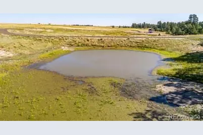 32147 Waylongood Point, Kiowa, CO 80117 - Photo 3