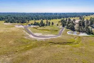 32147 Waylongood Point, Kiowa, CO 80117 - Photo 1