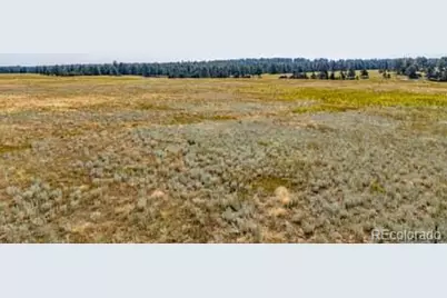 32147 Waylongood Point, Kiowa, CO 80117 - Photo 13