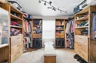 11751 S Rock Willow Way, Parker, CO 80134 - Photo 25