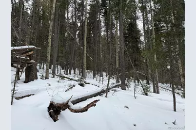 Lot 2806 Moir Drive, Fort Garland, CO 81133 - Photo 5