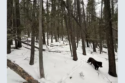 Lot 2806 Moir Drive, Fort Garland, CO 81133 - Photo 9