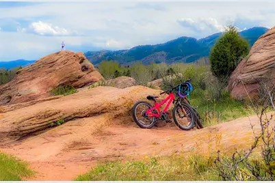 49 Buckthorn Drive, Littleton, CO 80127 - Photo 43