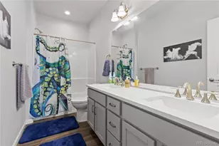 265 Hillspire Dr, Windsor, CO 80550 - Photo 23