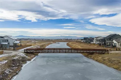 265 Hillspire Drive, Windsor, CO 80550 - Photo 39